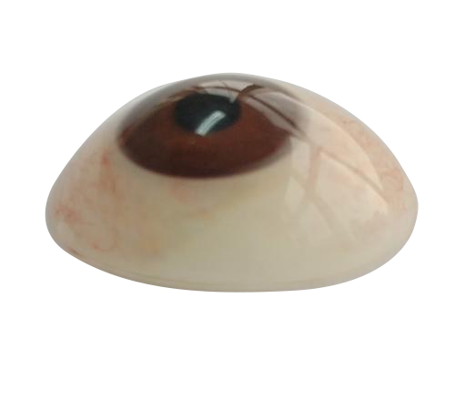 临汾微雕义眼定制